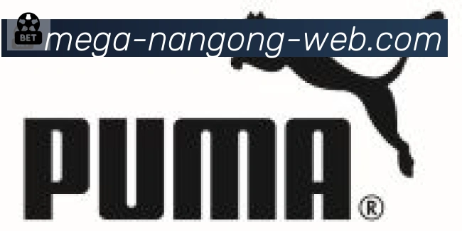 NG体育官网合作伙伴